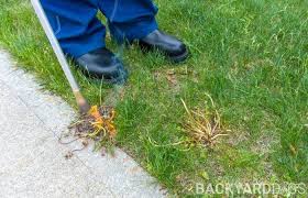 Do Weed Burners Work For Your Lawn And