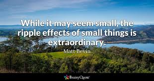 Quotes / delayed ripple effect. Matt Bevin While It May Seem Small The Ripple Effects