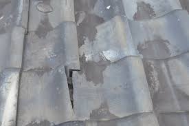 屋根塗装 | 栃木県宇都宮市の雨漏り修理・屋根工事専門店【リフォームの森】