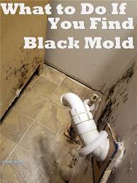 Black Mold In Your Bathroom Remodel