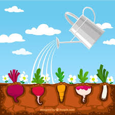 Free Vector Vegetable Garden