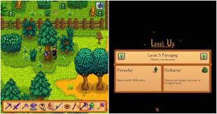 To do this, you'll be tasked with bringing various. Stardew Valley Everything To Know About Foraging Thegamer