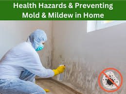 wet carpets mold health hazards