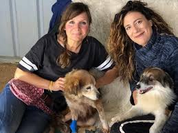 Wir sind ihre ansprechpartner in rotenburg! Souda Shelter Im Wdr Tiere Suchen Ein Zuhause Am 31 3 2019 Tierfreunde Kreta