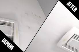 remove mold from bathroom ceiling