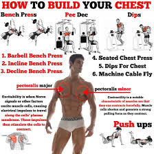 how to build chest tips