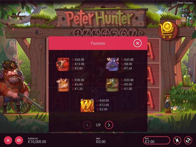 Peter Hunter Online Slot Review ✔️ Best payout 96.1% | 2026