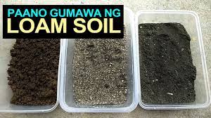 how to make loam soil i paano gumawa ng