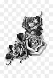 Black and white engraved ink art. Rose Tattoo Png Black Rose Tattoo Cleanpng Kisspng