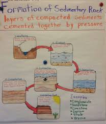 Formation Of Sedimentary Rock Anchor Chart Rock Science