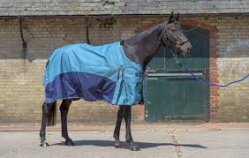 lightweight turnout rug review