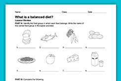 Designed to match the animal's diet. Health Nutrition Lesson Plans Worksheets Activities Teachervision