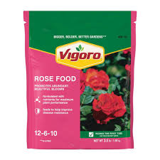 vigoro 3 5 lb all season rose plant
