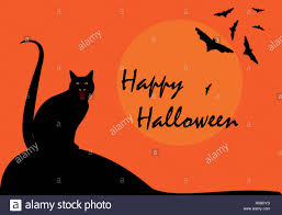 Happy Halloween mystery night greeting card. Spooky night wallpaper with  black cat and flying bats silhouette on full moon, october drawing  invitation Stock Photo - Alamy
