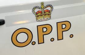 Just follow the law, dumbass. Six Charged Under Reopening Ontario Act In Oro Medonte Barrie News