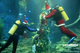 Underwater celebration ready for Christmas -- china.org.cn