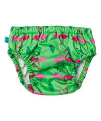 The Honest Company Flamingos Swim Diaper