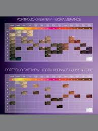 11 Symbolic Igora Personality Color Chart