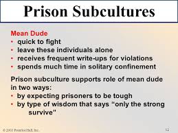 Ethical Issues In The Workplace at Correctional Subculture