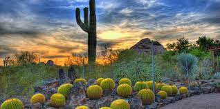 desert botanical garden phoenix az