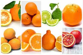 Name That Orange The Modern Farmer Guide To Orange