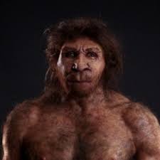 Le sue ginocchia erano leggermente piegate. Gli Antenati Dell Uomo Di Neanderthal In Italia Trovato Un Dente Di Un Bambino Di Sei Anni La Repubblica