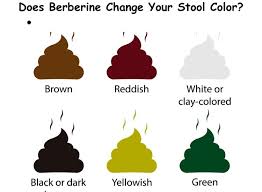 does berberine change your stool color