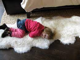 prescott area rug cleaning expert