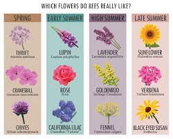 What is the best flower for bees? 44ê°ì Bees ìì´ë