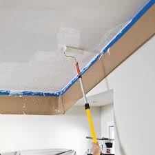 Silky White Ceiling Flat Interior Paint