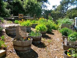 Best Edible Garden Ideas For An Organic