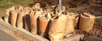 Home Depot S Leaf Bags And Their Eco