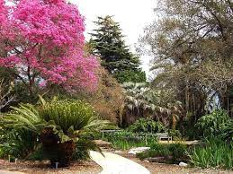 15 Beautiful Gardens In Los Angeles For
