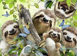 happy sloths family sloth