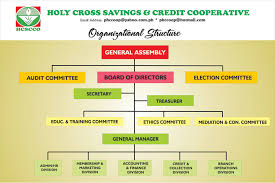 Holy Cross Savings Credit Cooperative Organizational