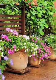 10 Summer Container Flower Garden Ideas
