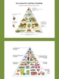 Nutrition And Healthy Eating Charts And Diagrams With