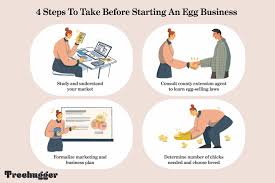 how to start an egg business