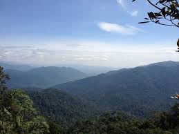 It ranks 241st on my list of malaysia's highest mountains and it is the 3rd highest peak in negeri sembilan state, after gunung datuk and bukit bintongan which are both slightly higher. Tempat Hiking Di Negeri Sembilan Khas Untuk Kaki Hiking Kaki Pewai