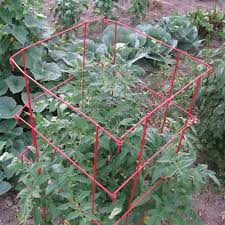 review tomato cages from gardener s supply