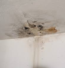 ceiling water leak finding the