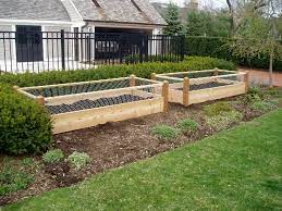 Two Raised Garden Beds With Rabbit