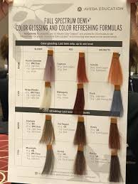 Pin By Lezleigh Marshall On Aveda Formulas In 2019 Hair