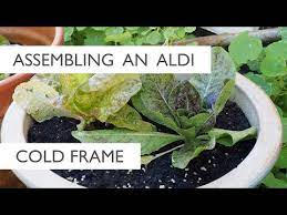 How To Assemble An Aldi Cold Frame