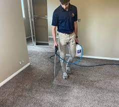 the 1 commercial carpet cleaner in