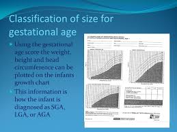 Neonatal Gestational Age Assessment Ppt Video Online Download