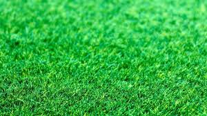 Proper fertilization is a balance between relying on what your soil is giving your lawn and what you can add. Five Easy To Follow Spring Lawn Care Tips Lush Lawn