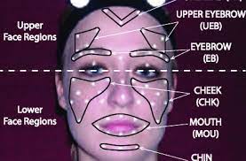 Impudence:uncountablehe's got a lot of cheek, talking back to his parents. Positions Of Face Markers And Six Face Regions Chin Forehead Cheek Download Scientific Diagram