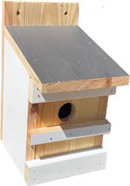 Birdhouse Trendy Mullrose