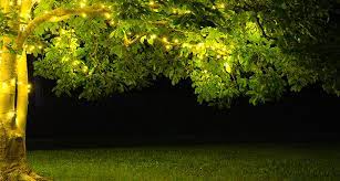 Tree Lights For Spring And Summer